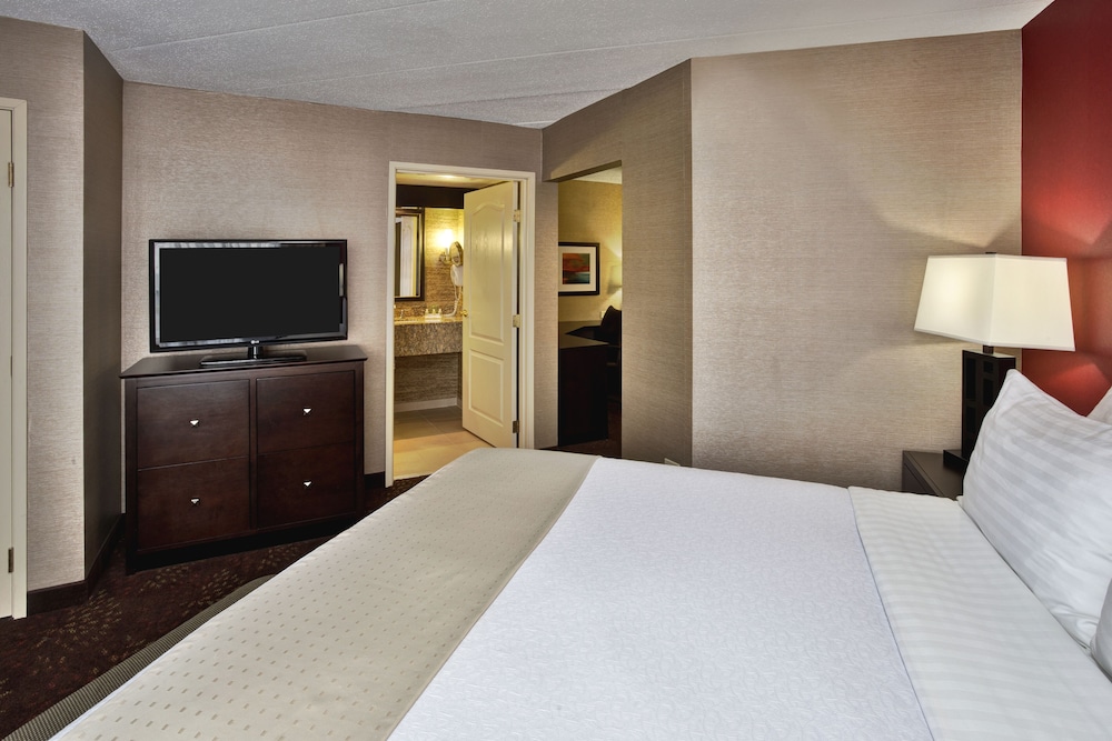 Suite, 1 King Bed, Roll-in Shower, Non Smoking (Communications Accessible) photo 3
