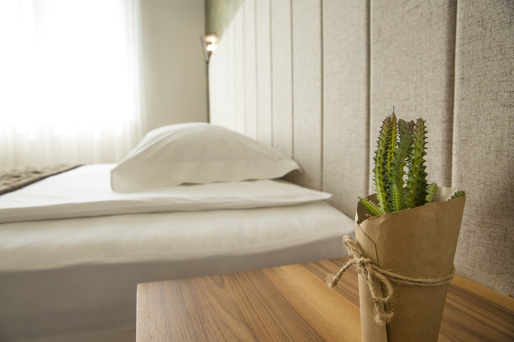 Standard Double or Twin Room - Photo 8