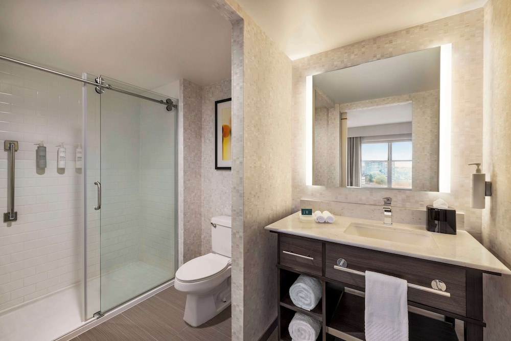 Studio Suite, 1 King Bed photo 3