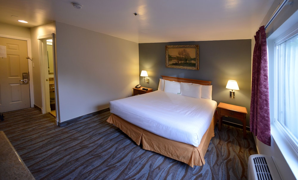 Executive Room, 1 King Bed, Refrigerator & Microwave - Photo 1