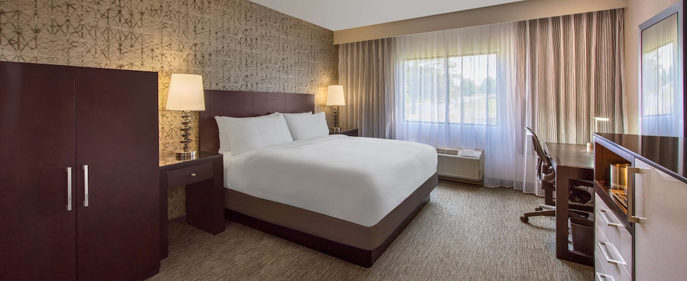 Room, 1 King Bed, Accessible, Bathtub (Mobility & Hearing) - Photo 2