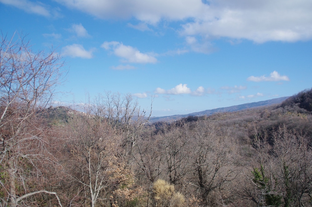 Standard Triple Room, Multiple Beds, Non Smoking, Mountain View photo 3