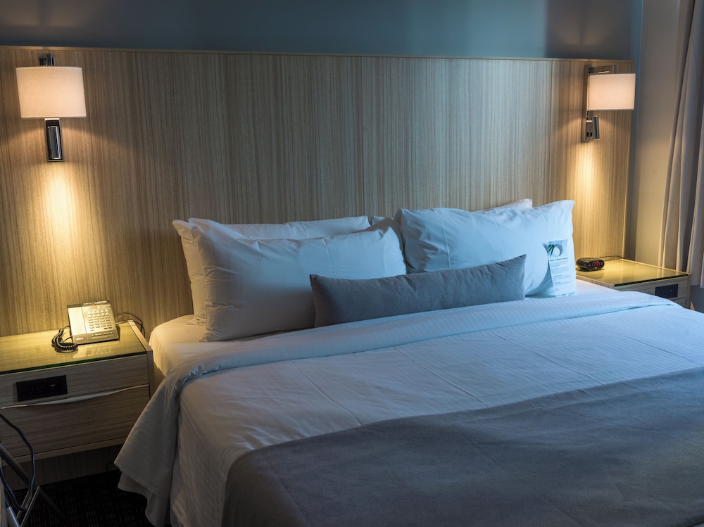 Premium Suite - Photo 6