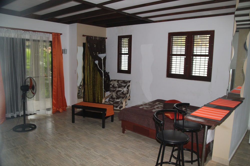 Studio, Garden View