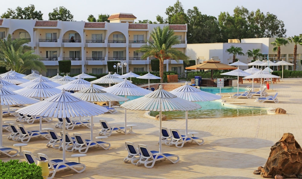 Superior Room, Pool View (Queen or Twin) photo 3