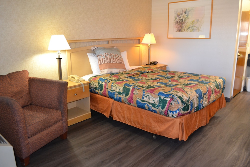 Room, 1 Queen Bed photo 2