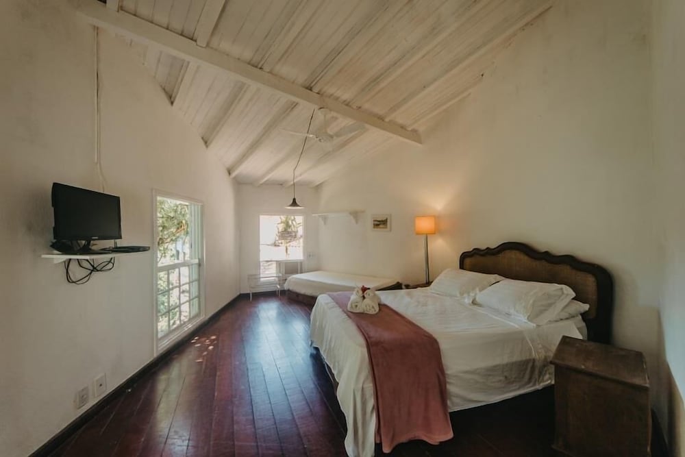 Suite (Pássaro)