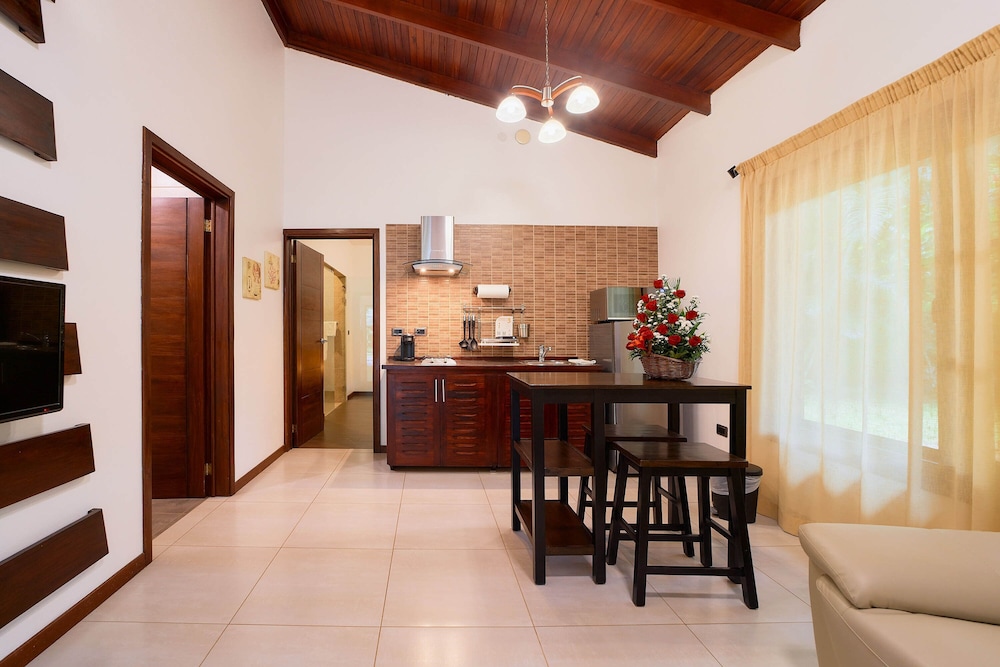 Luxury Apartment