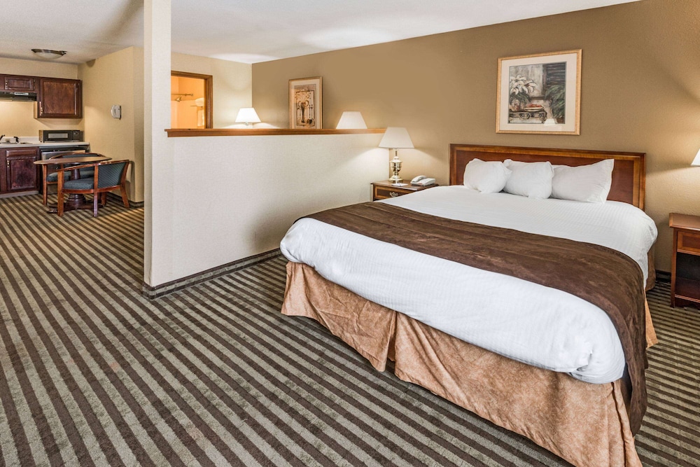 Deluxe Suite, 1 Queen Bed, Non Smoking (Business)
