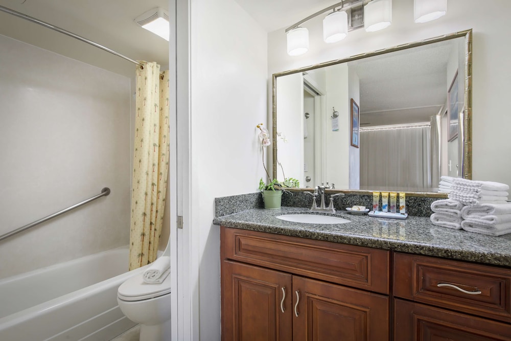 Deluxe Room, 1 Bedroom, Kitchen, Mountain View - Photo 12