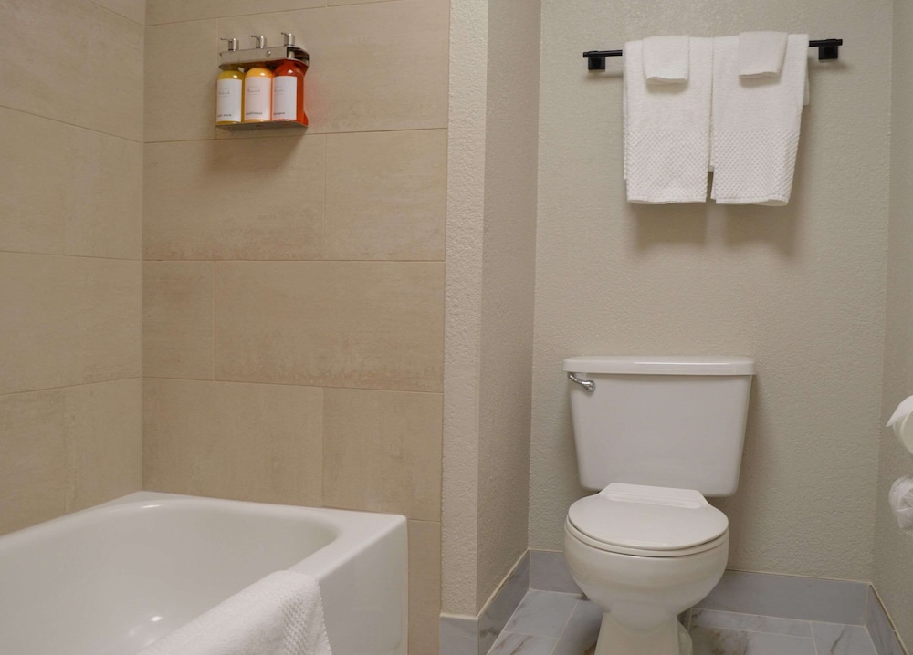 Suite, 1 King Bed, Non Smoking (Efficiency) - Photo 5