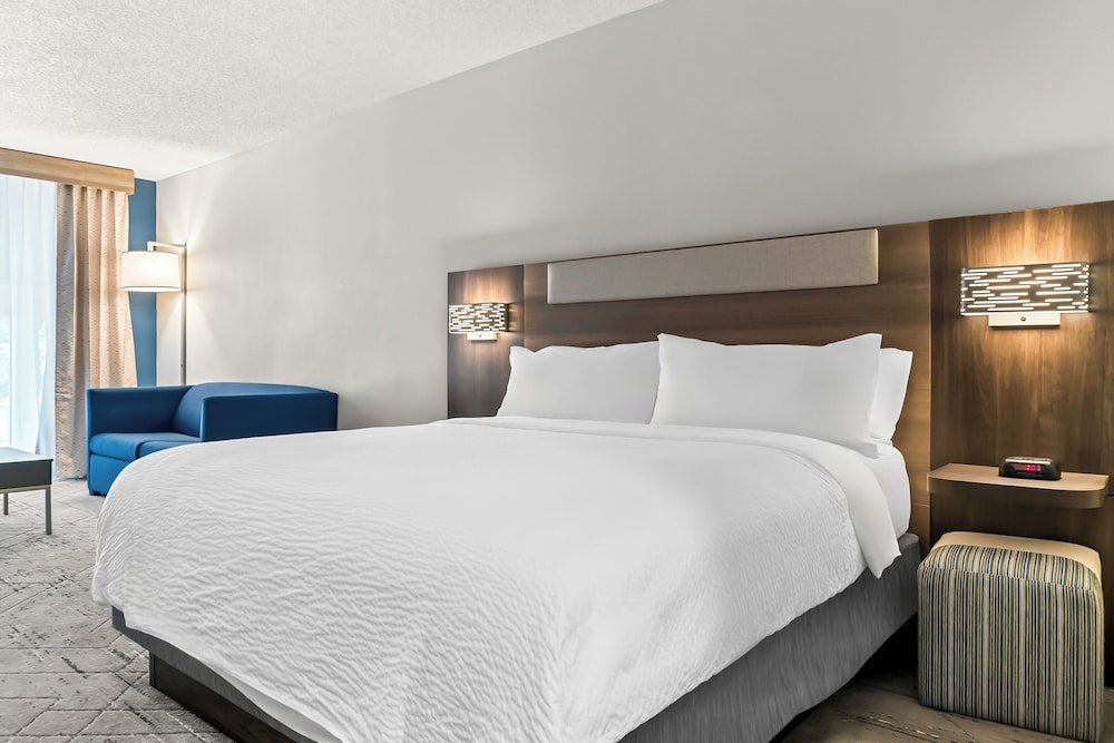 Suite, 1 King Bed with Sofa bed photo 3