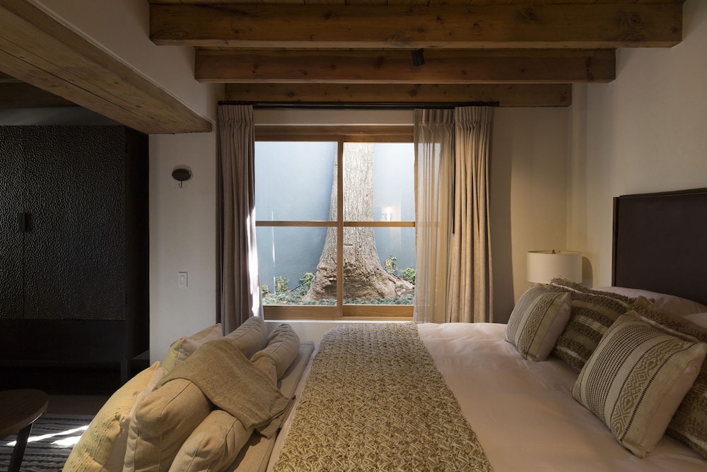 Suite 3 photo 2