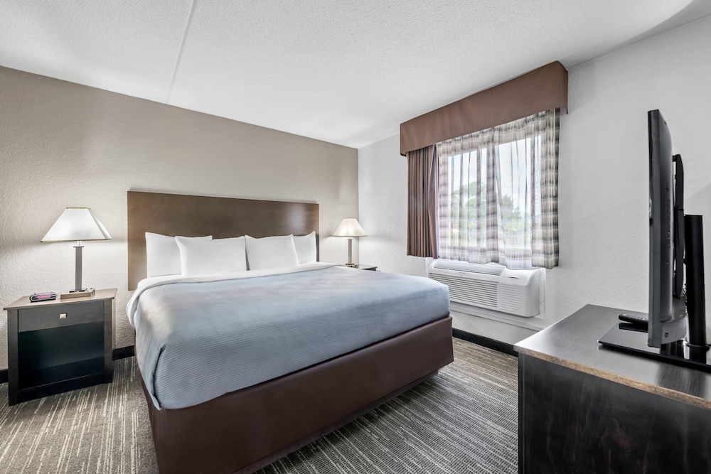 Suite, 1 King Bed, Non Smoking - Photo 7