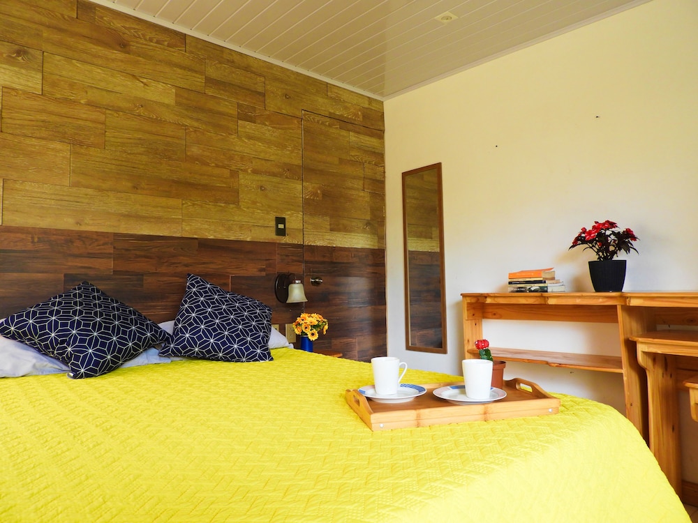 Comfort Double Room, 1 Queen Bed, Garden View photo 2