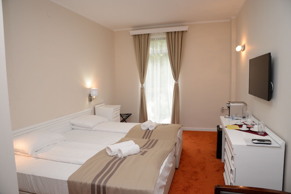 Deluxe Double or Twin Room photo 3