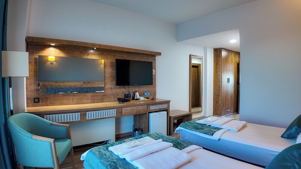 Classic Twin Room, Balcony, Mountain View photo 2