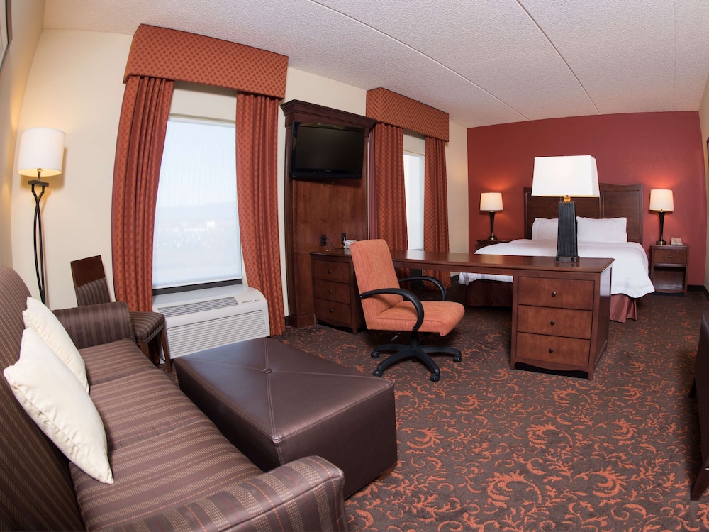 Studio Suite - Photo 2