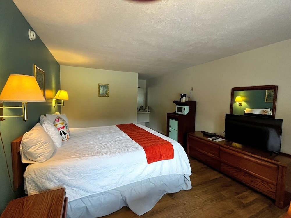 Room, 1 King Bed, Mountain View photo 3