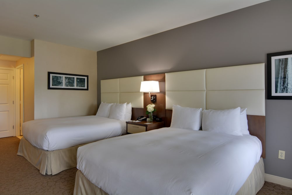 Deluxe Room, Multiple Beds photo 1