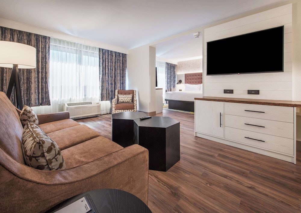 Junior Suite, 1 Queen Bed photo 3