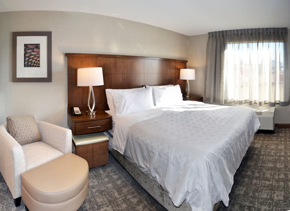 Suite, 1 Bedroom, Kitchen photo 1