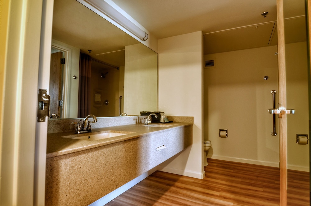 Suite - Photo 5