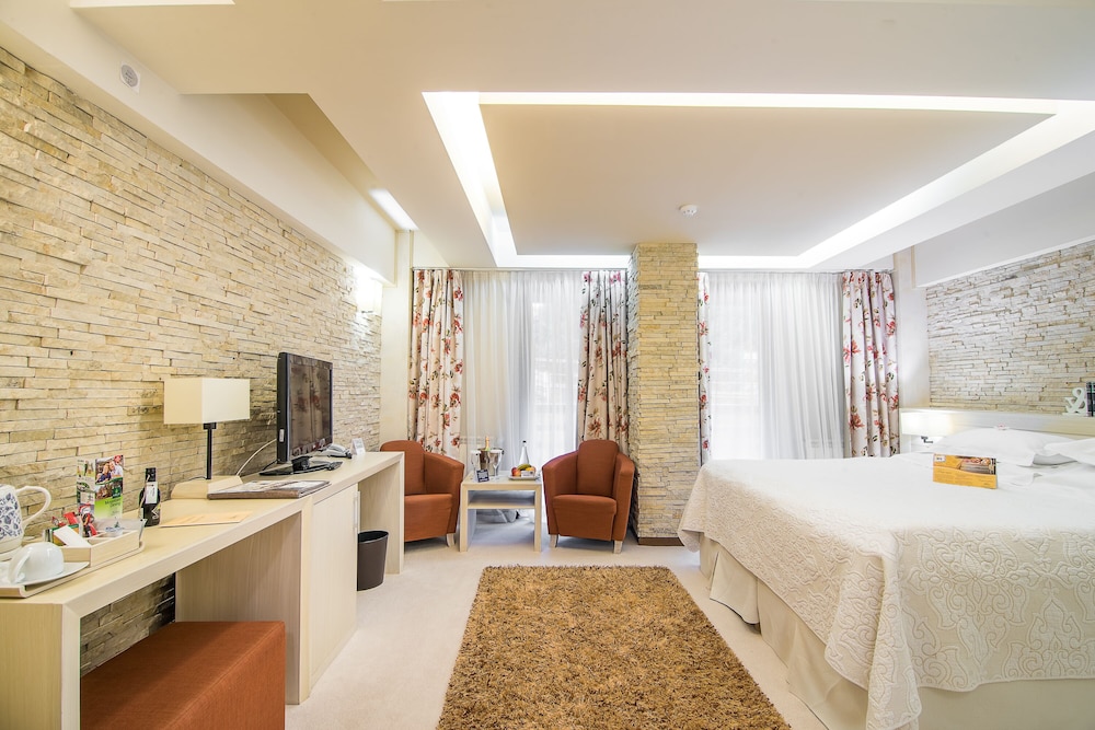 Standard Room Without Balcony ( 3 camere de acest tip) - Photo 2