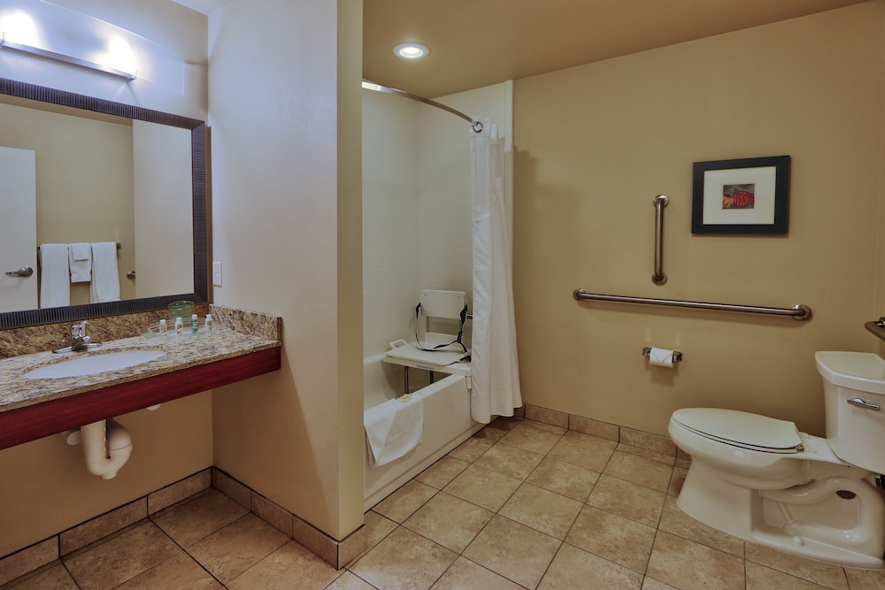 Standard Room, 1 King Bed, Accessible (Communications, Accessible Tub) photo 3