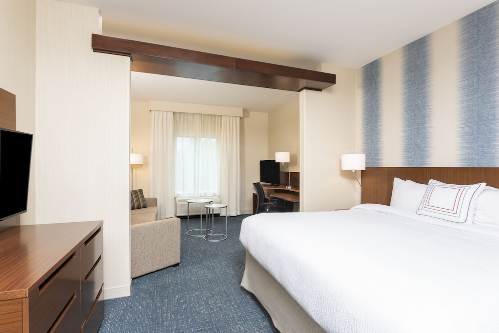 Suite, 1 King Bed with Sofa bed photo 3