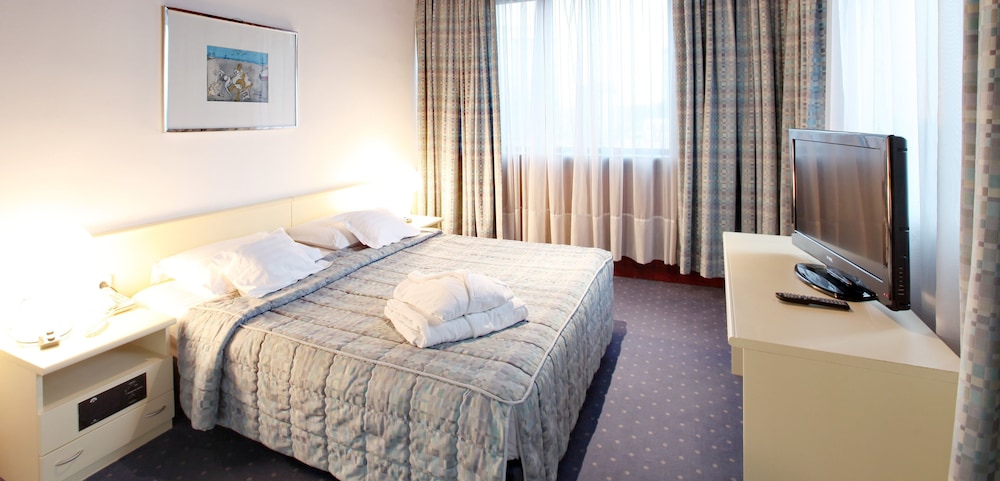 Double Room, 1 King Bed