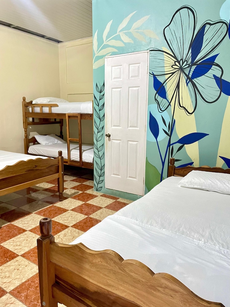 Comfort Shared Dormitory photo 1
