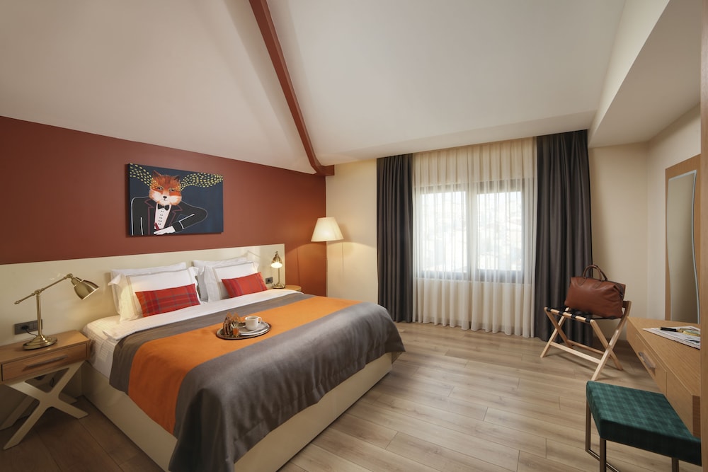 Deluxe Room photo 2