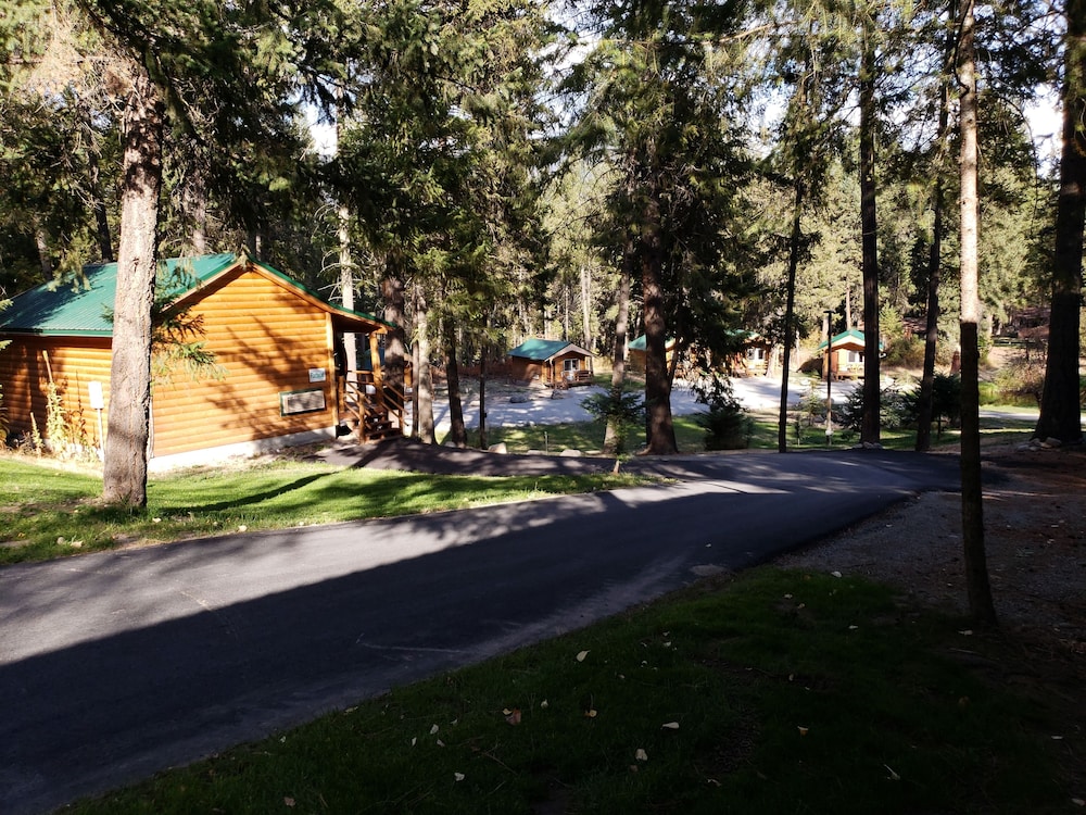 Superior Cabin, 1 King Bed, Mountain View photo 2