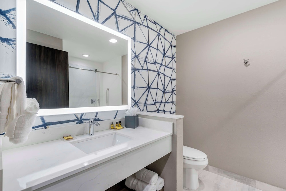 Standard Room, 1 King Bed, Non Smoking (Walk-in Shower;with Sofabed) - Photo 4