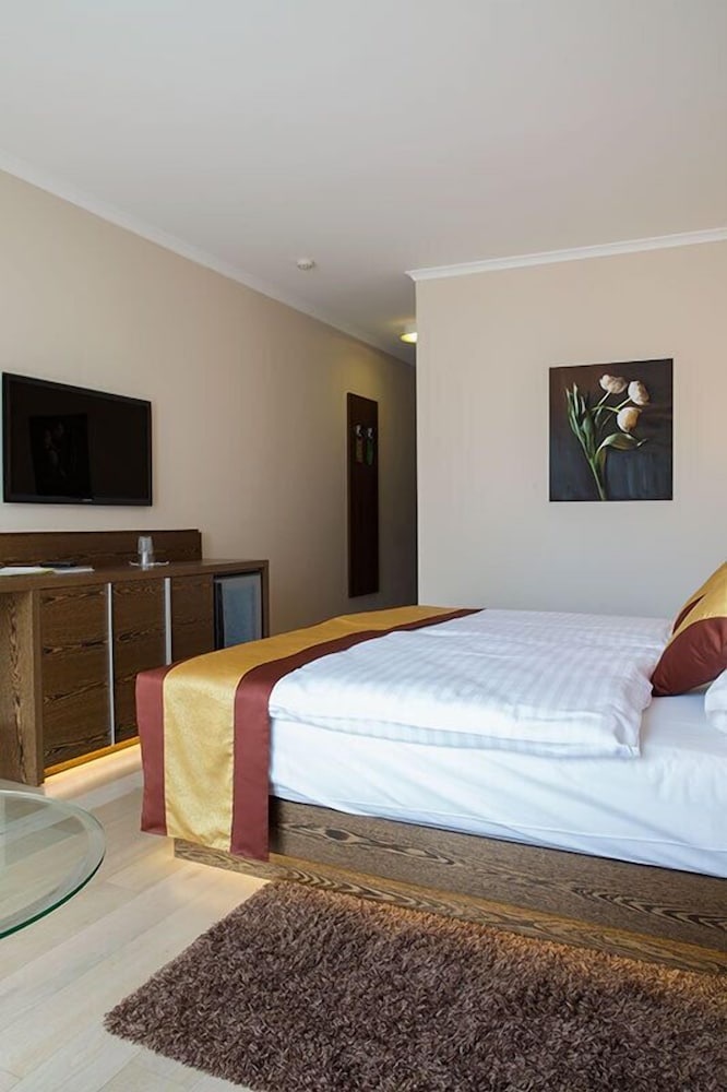 Business Double Room Single Use, 1 Bedroom, Allergy Friendly photo 2
