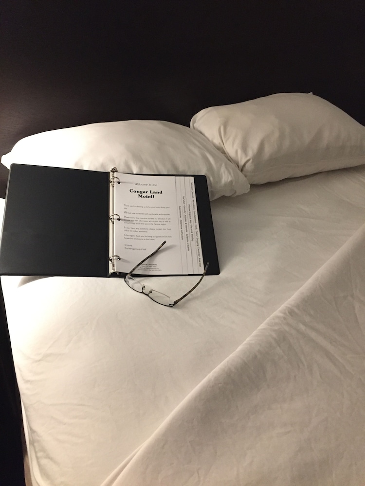 Standard Room, 1 Queen Bed photo 1