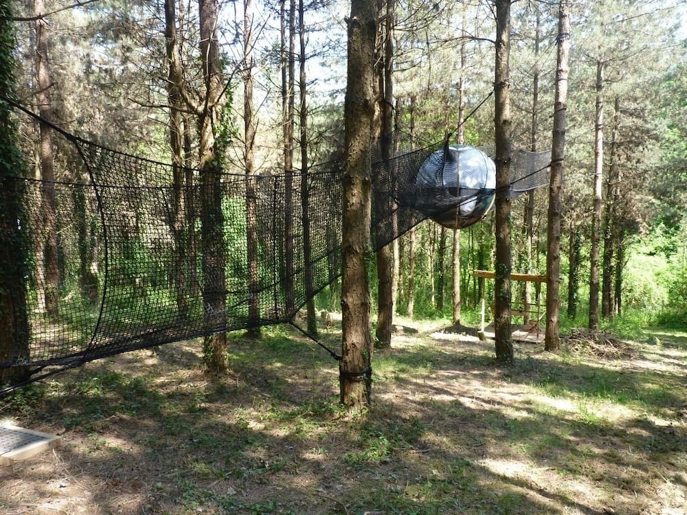 Tree House (Geais) photo 3