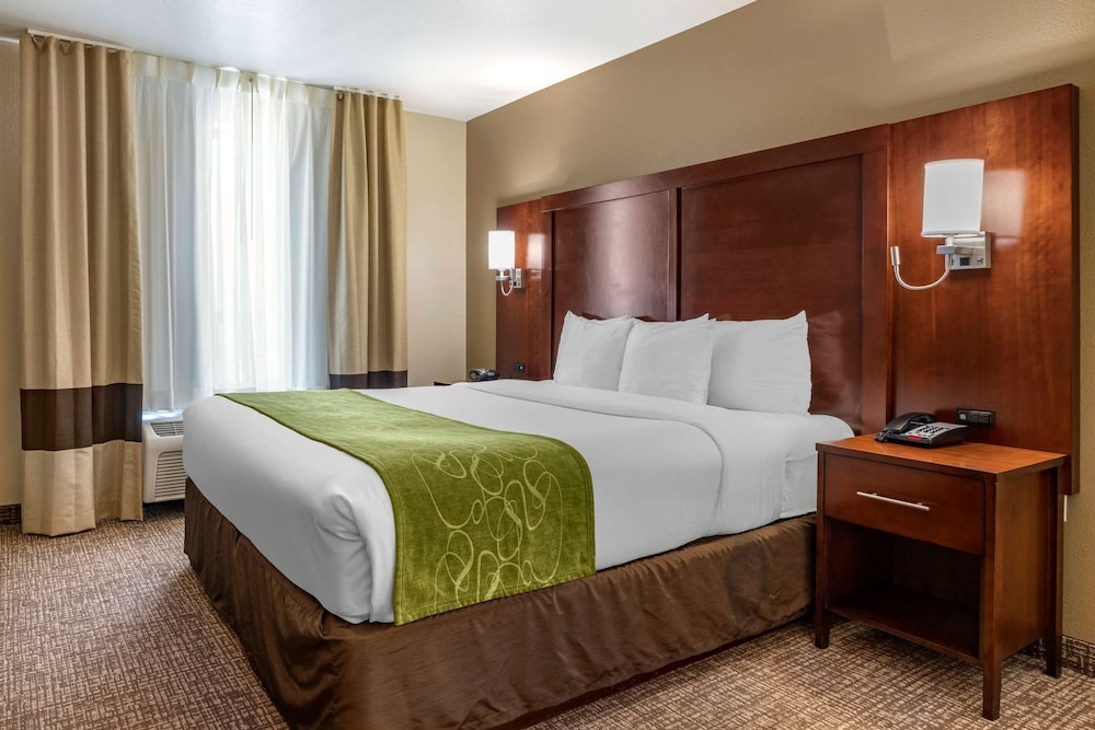 Suite, 1 King Bed with Sofa bed, Accessible, Non Smoking - Photo 1
