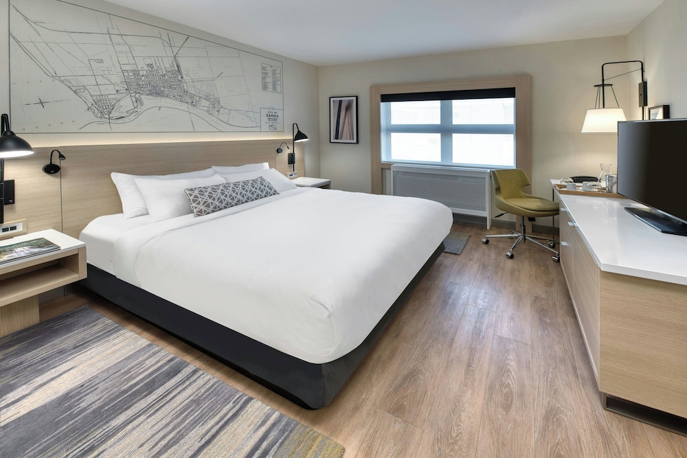 Room, 1 King Bed photo 3