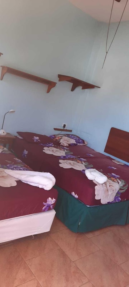 Traditional Room photo 3