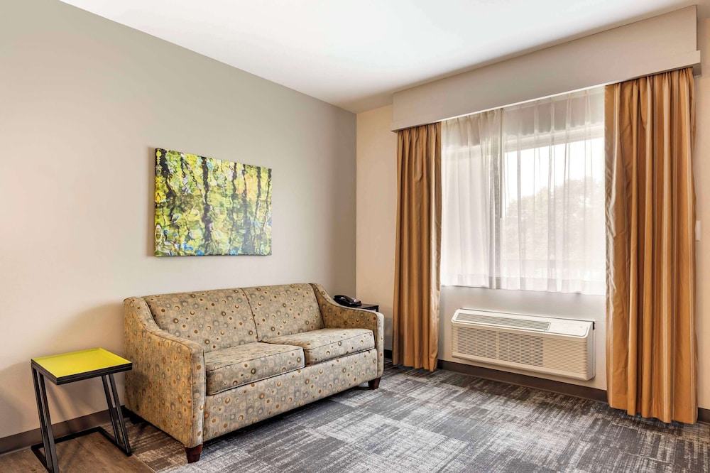 Suite, 1 King Bed with Sofa bed, Accessible, Non Smoking (Efficiency) - Photo 9