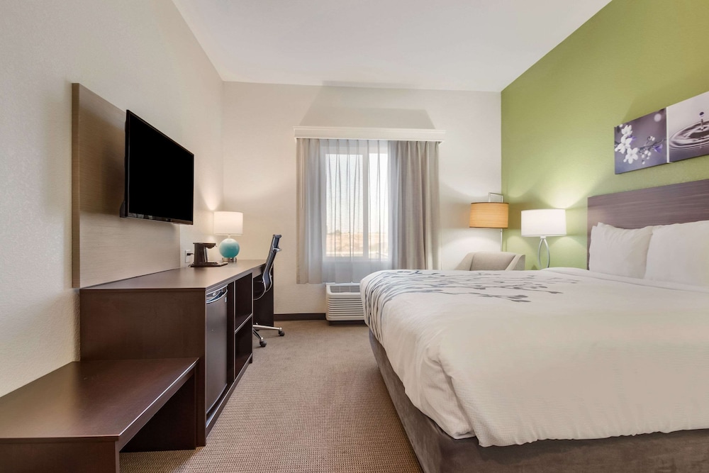 Room, 1 King Bed, Accessible, Non Smoking - Photo 3