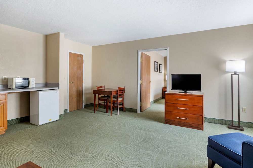 Suite, 1 King Bed, Non Smoking - Photo 4