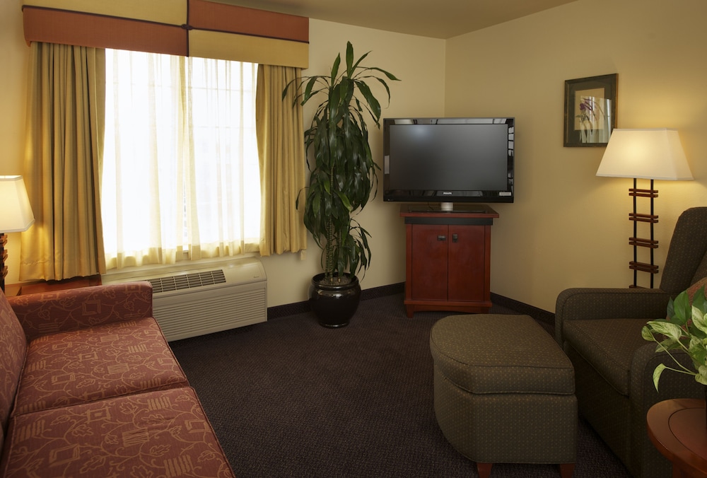 Studio Suite, 1 King Bed - Photo 4