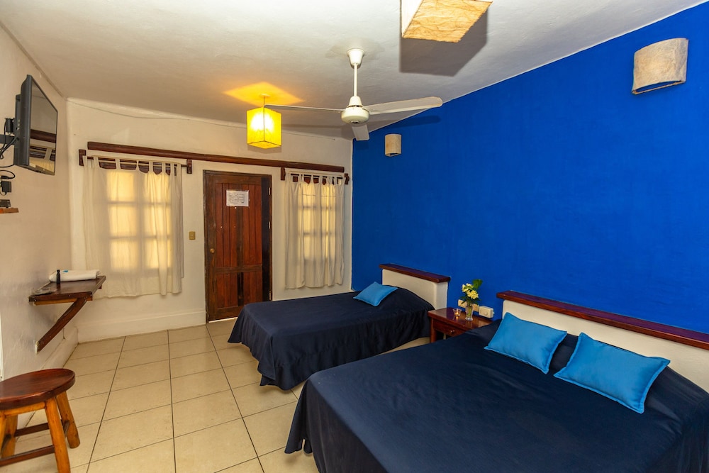 Habitacion Triple, vistas al Jardin y con TV. photo 2