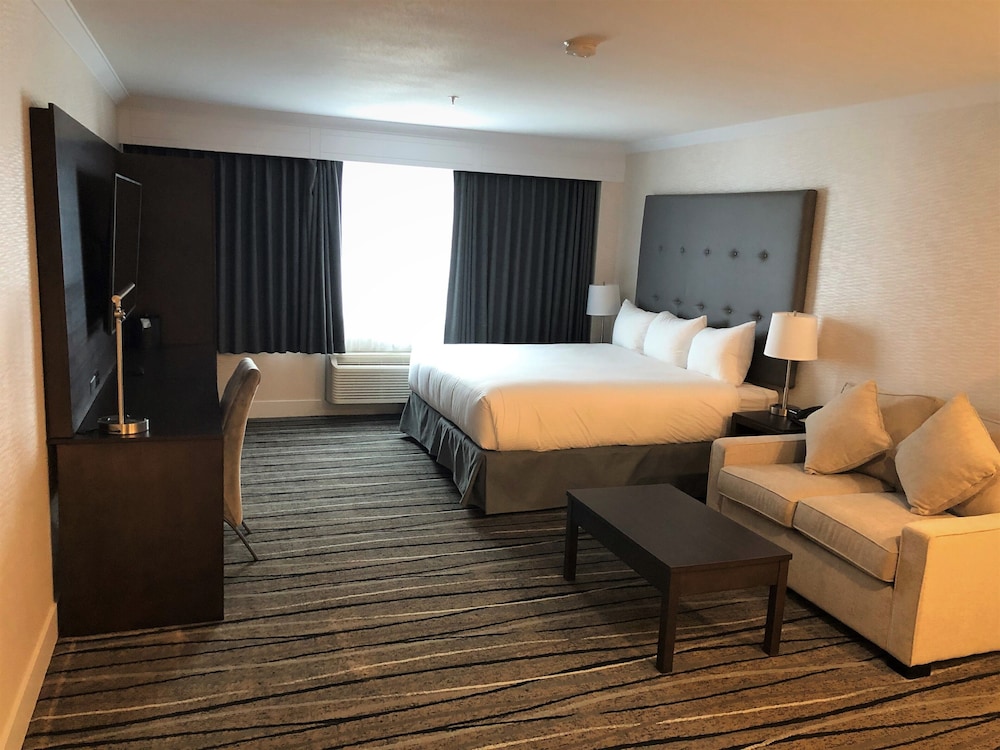 Executive Room, 1 King Bed with Sofa bed, Kitchen