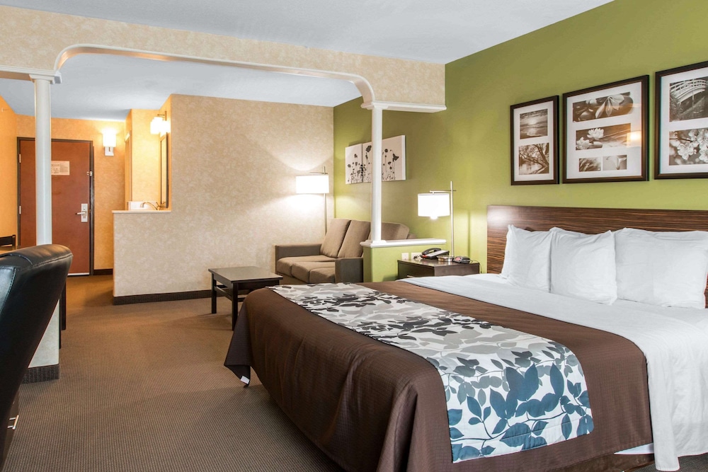 Suite, 1 King Bed, Jetted Tub photo 3