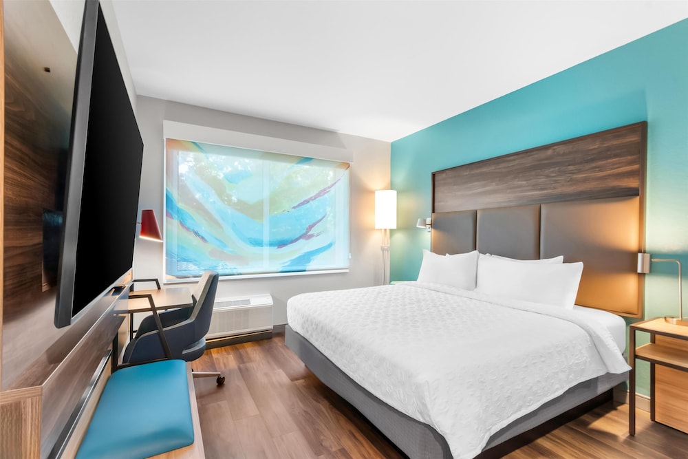 Room, 1 King Bed