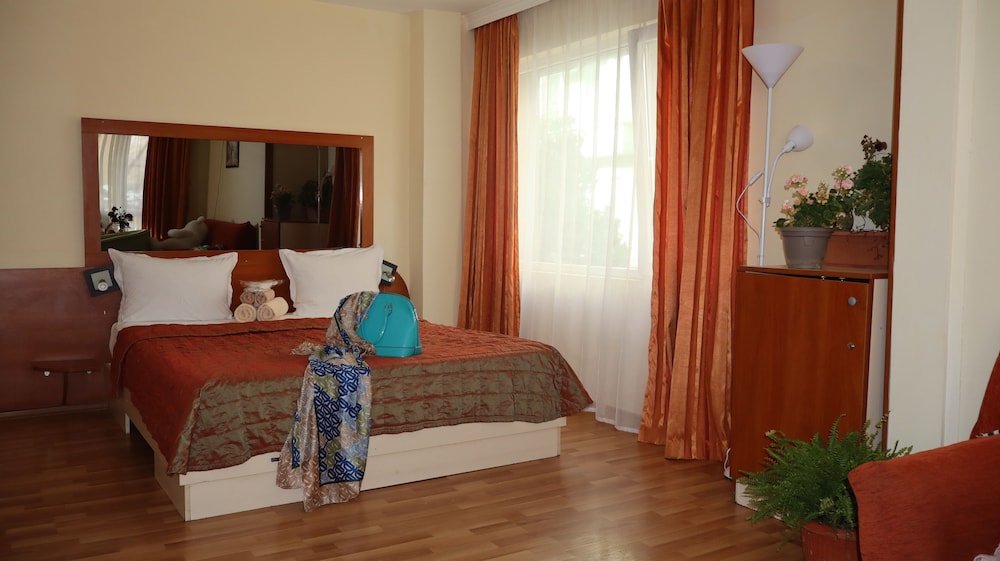 Comfort Double Room, 1 Bedroom photo 2